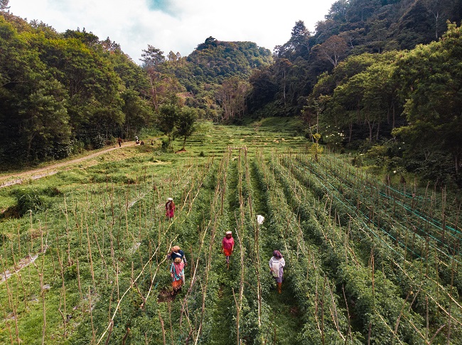 Utopia beyond the abyss